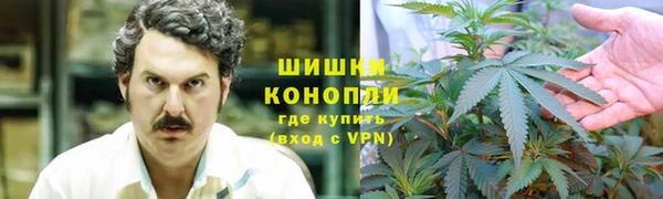 трава Армянск