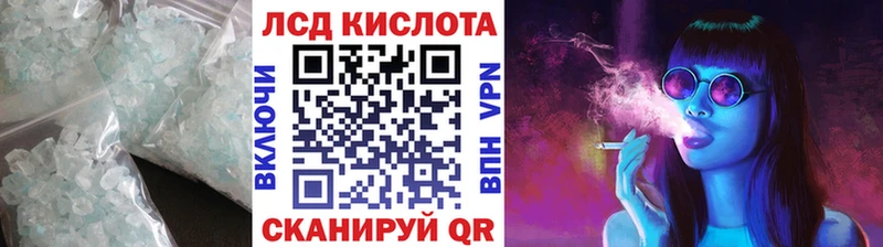 Лсд 25 экстази ecstasy  omg как войти  Светлогорск  как найти наркотики 