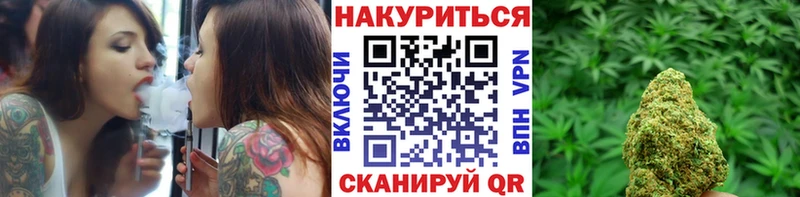 цена наркотик  Светлогорск  Шишки марихуана план 